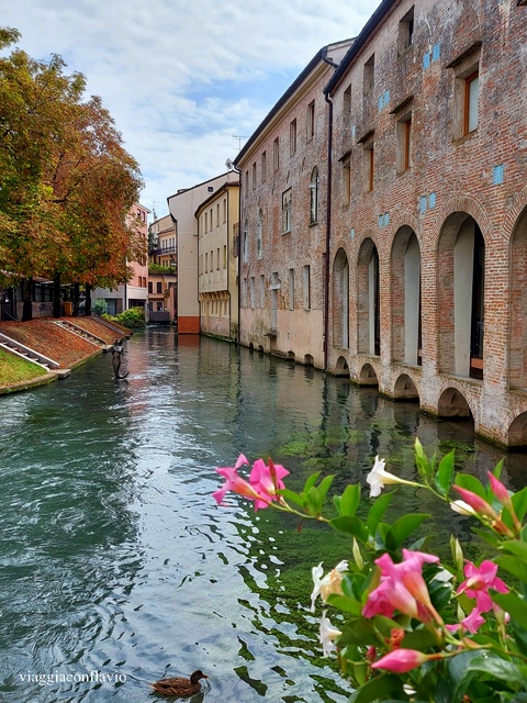 Treviso. il Cagnan Grande, detto Canale della Pescheria.