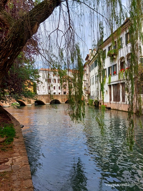 Visitare Treviso in un giorno. Passeggiata tra i Canali o Cagnan. 